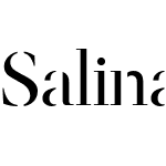 Salinas Stencil