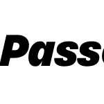 Passenger Sans