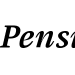 PensumW05-MediumItalic