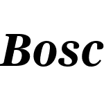 Bosch Serif