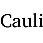 Caulixtla009Serif