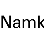 Namkio Khamti