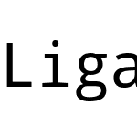 Liga Droid Sans Mono