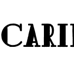 Carin Serif