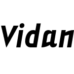 Vidange Pro