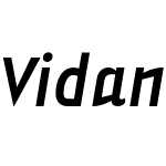 Vidange Pro