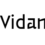 Vidange Pro