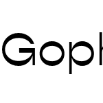 Gopher Display