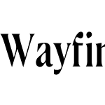 Wayfinder CF