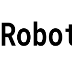 RobotoJ Mono