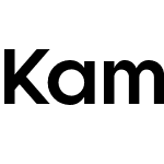 Kamerik 105