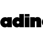 adineue PRO