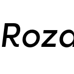 Rozanova HUM