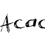 Acacia 23