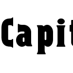 Capitalist