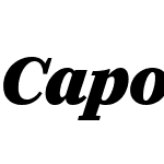 Caponi Display Web Black