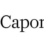 Caponi Slab Web Regular