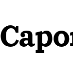 Caponi Slab Web Semibold