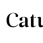 CaturritaMediumDisplay