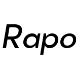 Rapor