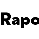 Rapor