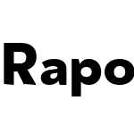 Rapor