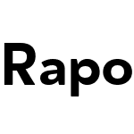 Rapor