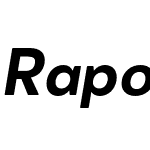 Rapor