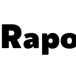 Rapor