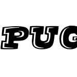 pugua16