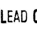 Lead Coat