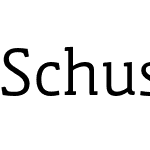 Schuss Slab Pro