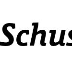 Schuss Slab Pro