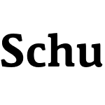 Schuss News Pro