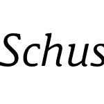 Schuss News Pro