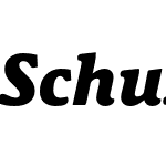 Schuss News Pro