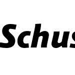 Schuss Sans PCG