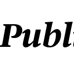 Publico Text Web