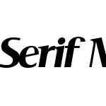 Serif Medium Italic