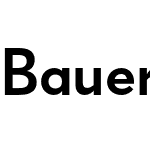 Bauer Grotesk Pro