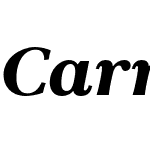 Carrig Pro