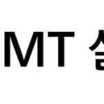 MT 설 산스