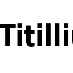 TitilliumText22L Xb