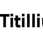 TitilliumText22L