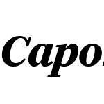 Caponi Display Web