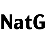 NatGrotesk Black