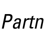 PartnerCondensed