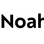 Noah Head