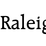 RaleighMediumC BT