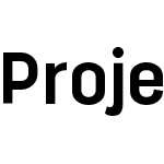 Project Sans